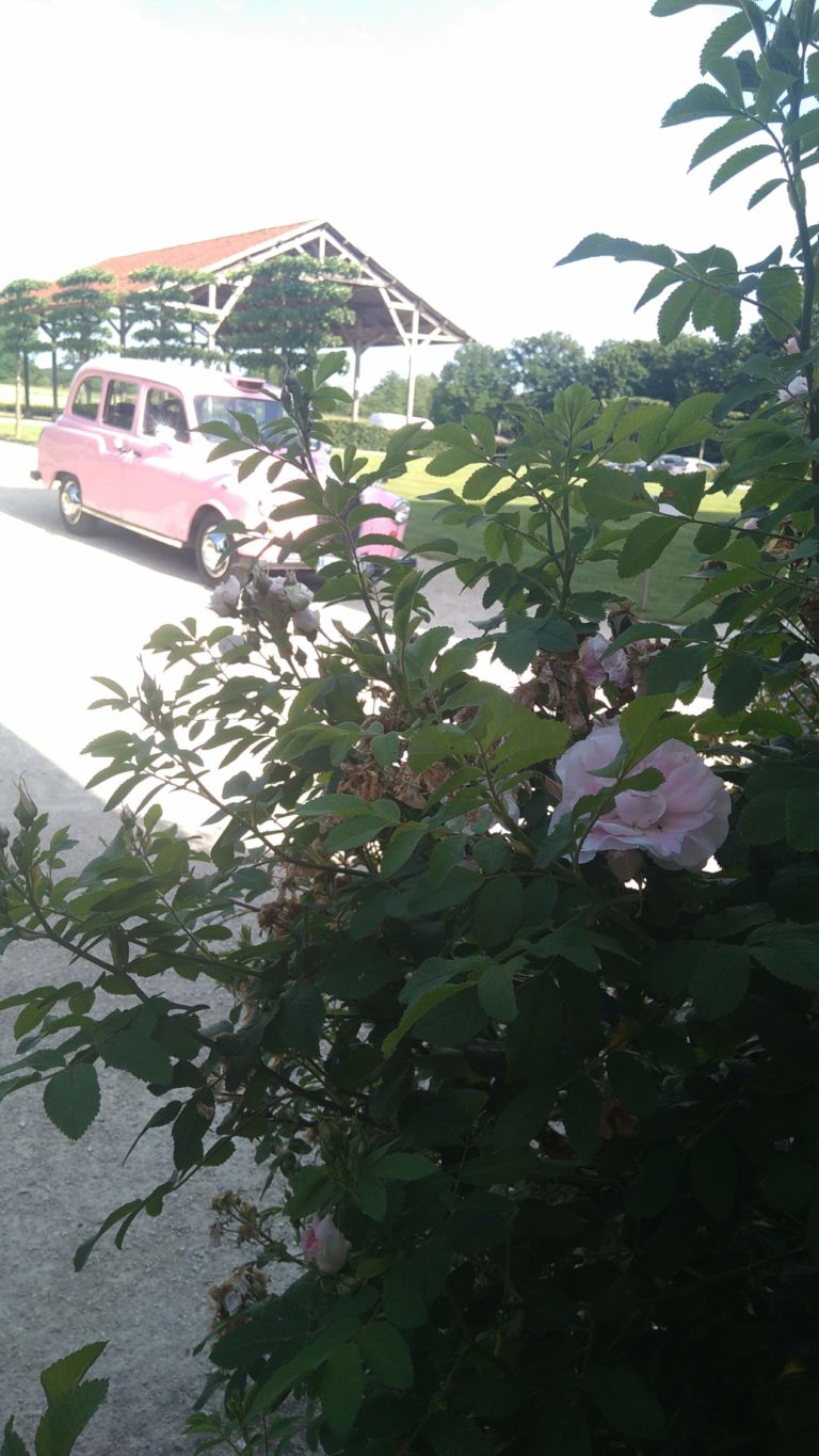 TaxiFun Mariage en taxi anglais rose avec chauffeur