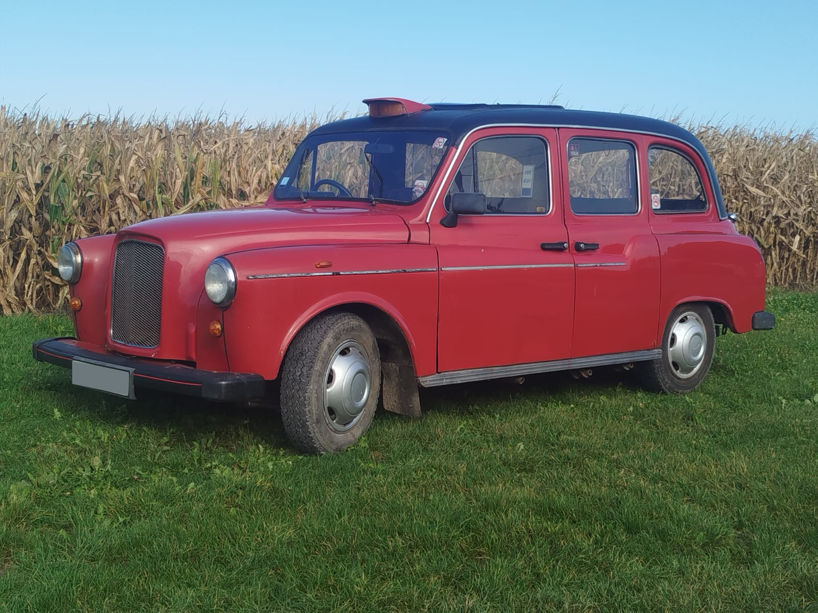 taxi anglais rouge sur herbe presente de cote